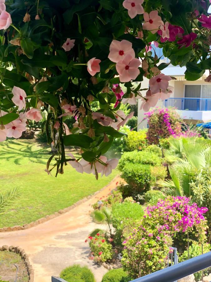 Paradise Gardens With A Large Terrace Пафос Екстериор снимка