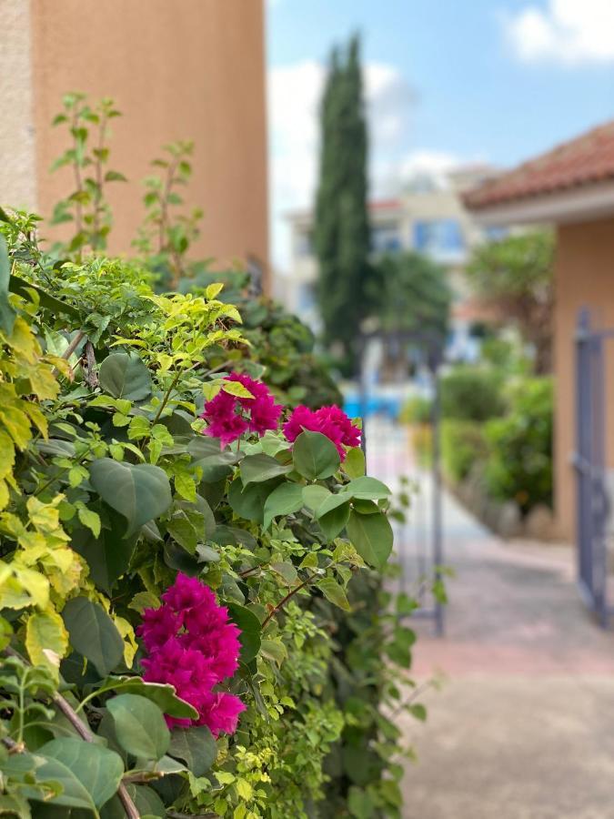 Paradise Gardens With A Large Terrace Пафос Екстериор снимка