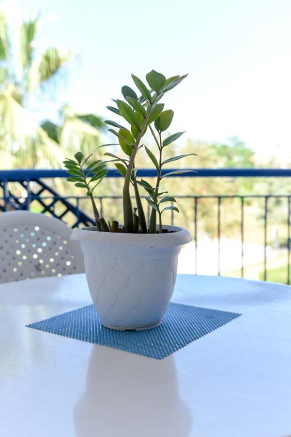 Paradise Gardens With A Large Terrace Пафос Екстериор снимка